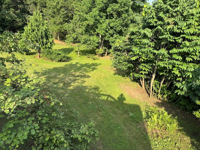 4 James Way, Granite Springs, NY 10527 - photo 8