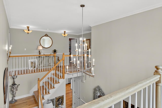2 Gail Ter, Glen Cove, NY 11542 - photo 24