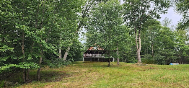 33 Haas Dr, Roscoe, NY 12776 - photo 8