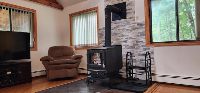 33 Haas Dr, Roscoe, NY 12776 - photo 13