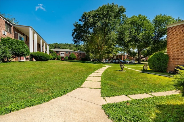 31 Lawrence Dr Unit D, White Plains, NY 10603 - photo 35