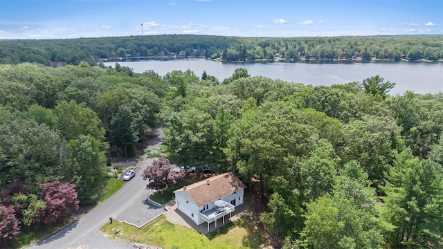 135 Lake Shore Dr E, Rock Hill, NY 12775 - photo 40