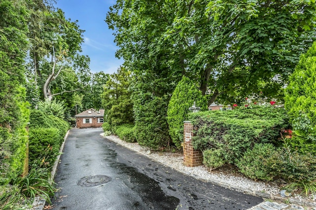 84 Horton Pl, Syosset, NY 11791 - photo 4