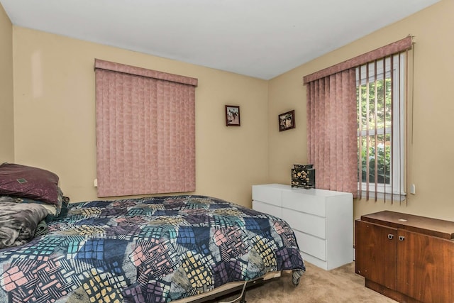 84 Horton Pl, Syosset, NY 11791 - photo 23