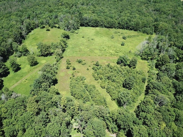 TBD Ahrens Rd, Parksville, NY 12768 - photo 1