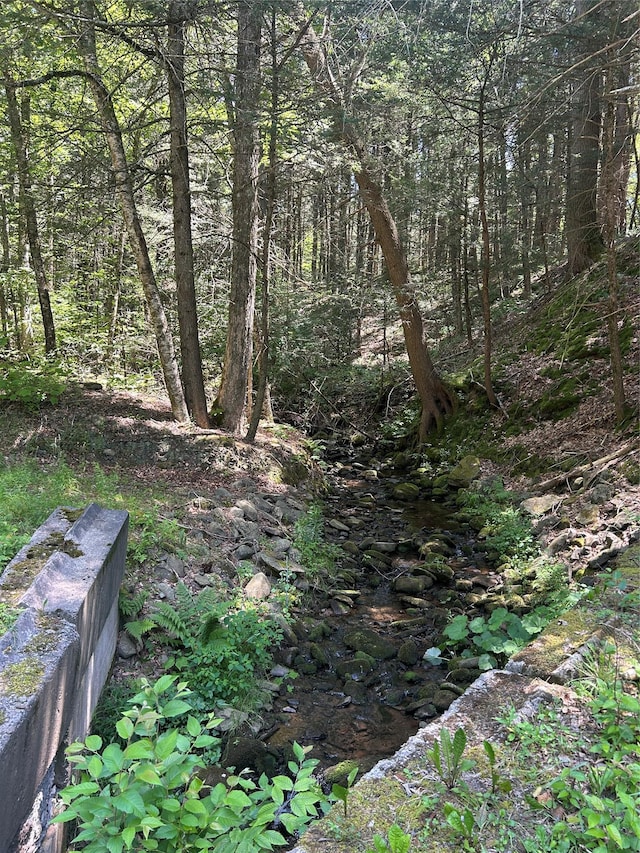 TBD Ahrens Rd, Parksville, NY 12768 - photo 2