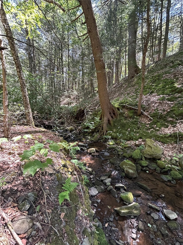 TBD Ahrens Rd, Parksville, NY 12768 - photo 4