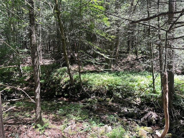 TBD Ahrens Rd, Parksville, NY 12768 - photo 6