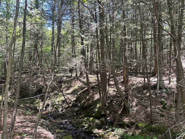 TBD Ahrens Rd, Parksville, NY 12768 - photo 8
