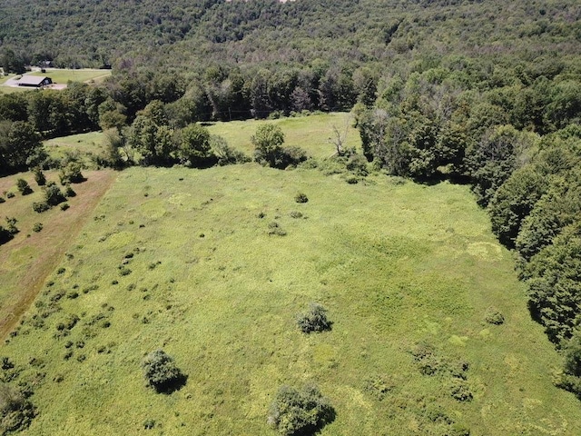 TBD Ahrens Rd, Parksville, NY 12768 - photo 12