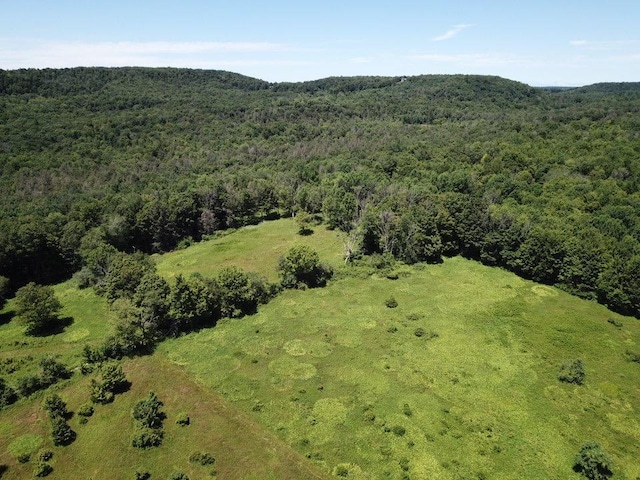TBD Ahrens Rd, Parksville, NY 12768 - photo 13