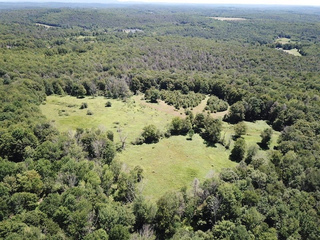 TBD Ahrens Rd, Parksville, NY 12768 - photo 14