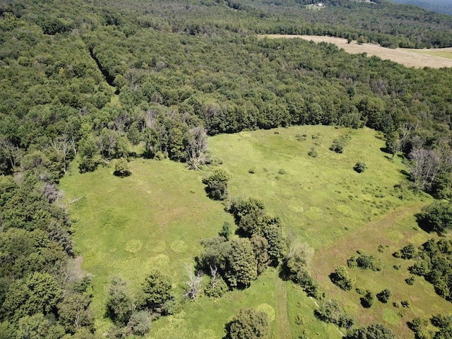 TBD Ahrens Rd, Parksville, NY 12768 - photo 15