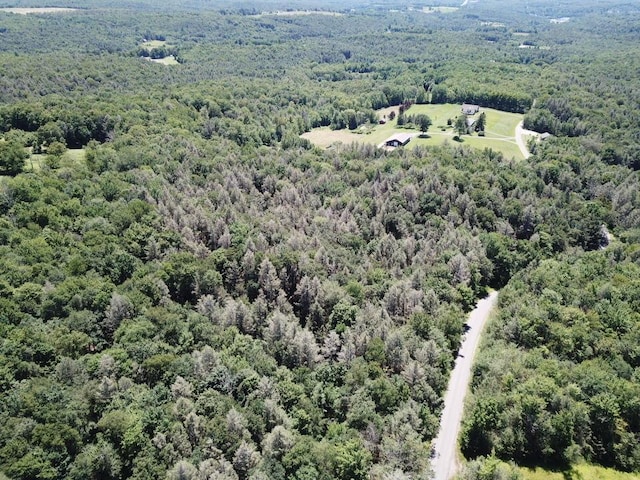 TBD Ahrens Rd, Parksville, NY 12768 - photo 16