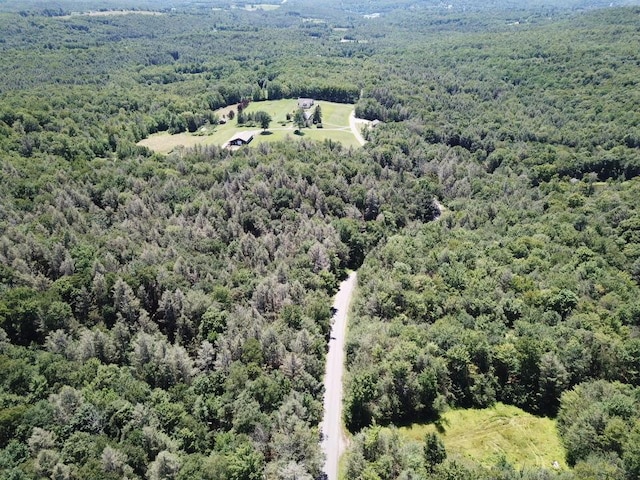 TBD Ahrens Rd, Parksville, NY 12768 - photo 17