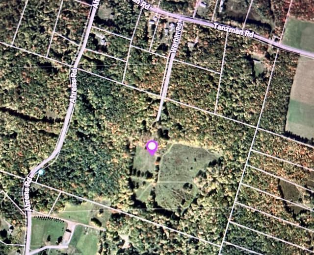 TBD Ahrens Rd, Parksville, NY 12768 - photo 19