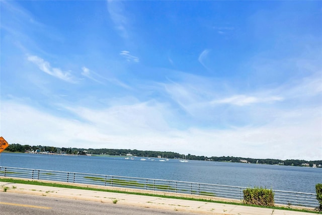 870 Heights Pl, Oyster Bay, NY 11771 - photo 39