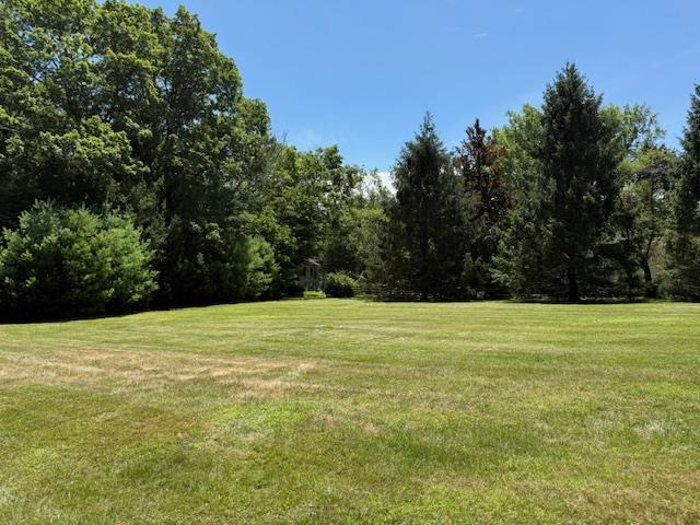 13 Corkscrew Rd, Barryville, NY 12719 - photo 19