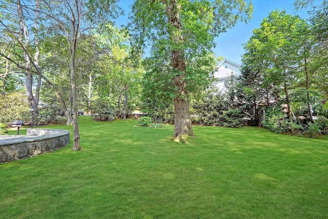 79 Penn Rd, Scarsdale, NY 10583 - photo 28