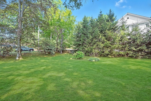 79 Penn Rd, Scarsdale, NY 10583 - photo 29