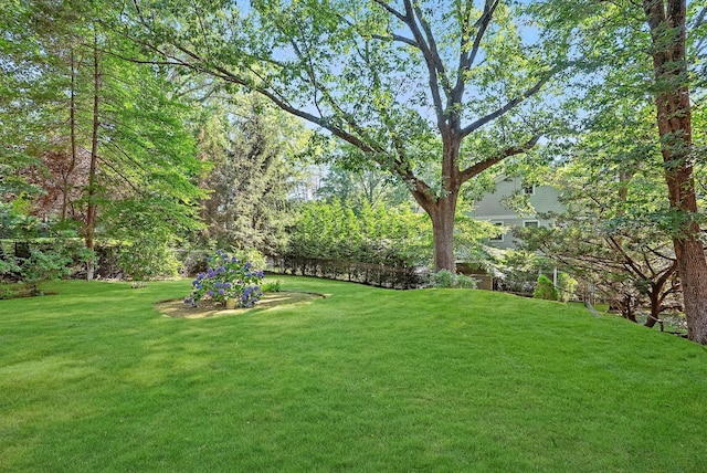 79 Penn Rd, Scarsdale, NY 10583 - photo 31