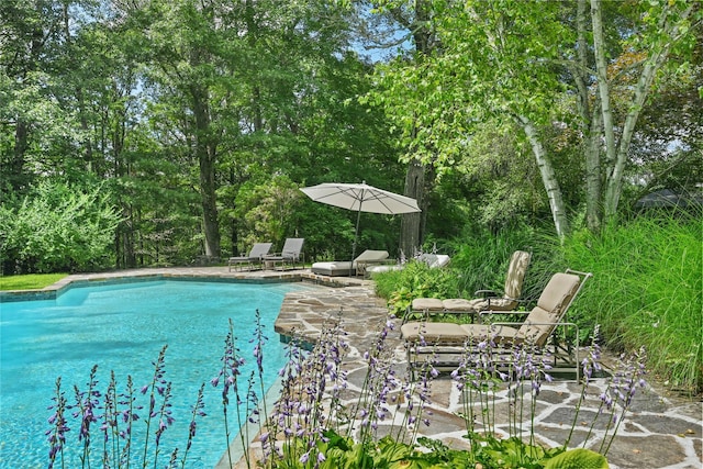 37 Sarles St, Armonk, NY 10504 - photo 38