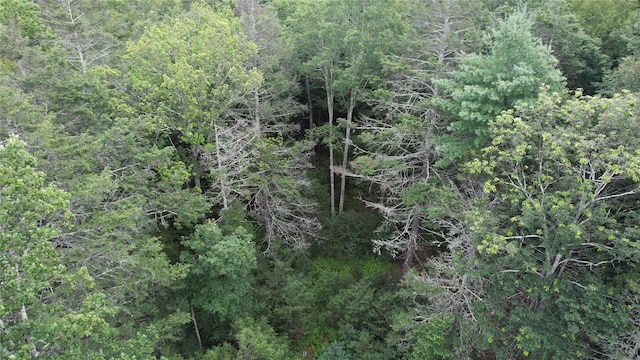 141 Brandt Rd, Cuddebackville, NY 12729 - photo 2