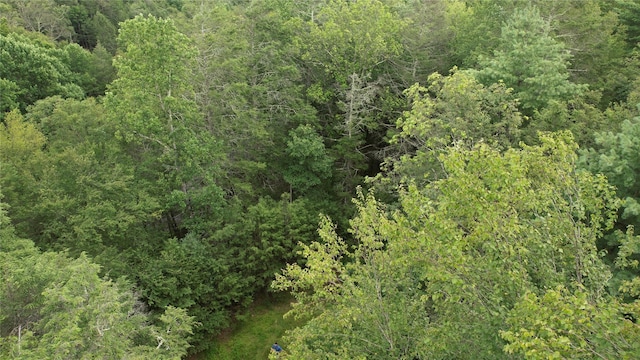 141 Brandt Rd, Cuddebackville, NY 12729 - photo 3