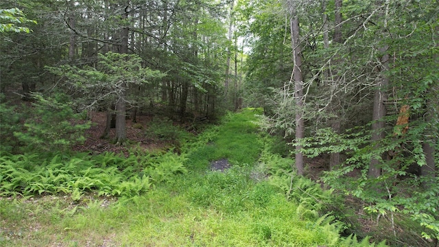 141 Brandt Rd, Cuddebackville, NY 12729 - photo 1
