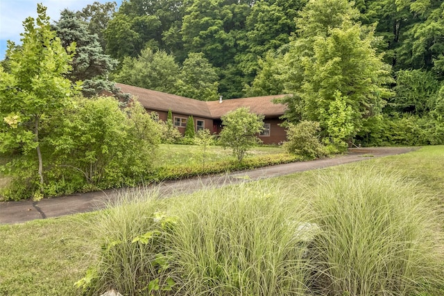 14 Orchard Hills Rd, Ulster Park, NY 12487 - photo 3