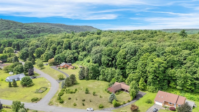 14 Orchard Hills Rd, Ulster Park, NY 12487 - photo 4