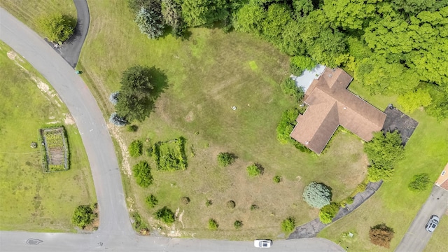 14 Orchard Hills Rd, Ulster Park, NY 12487 - photo 5