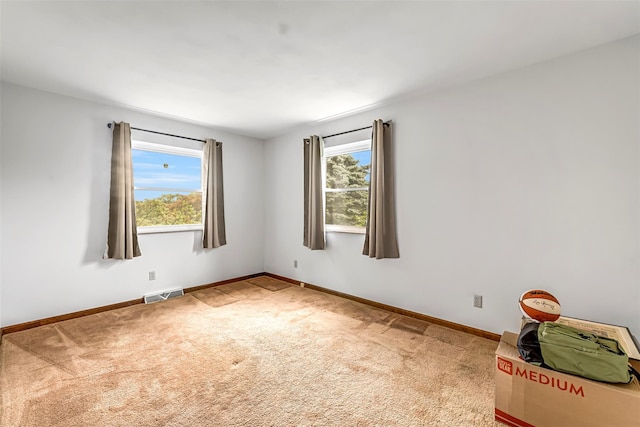 14 Orchard Hills Rd, Ulster Park, NY 12487 - photo 22