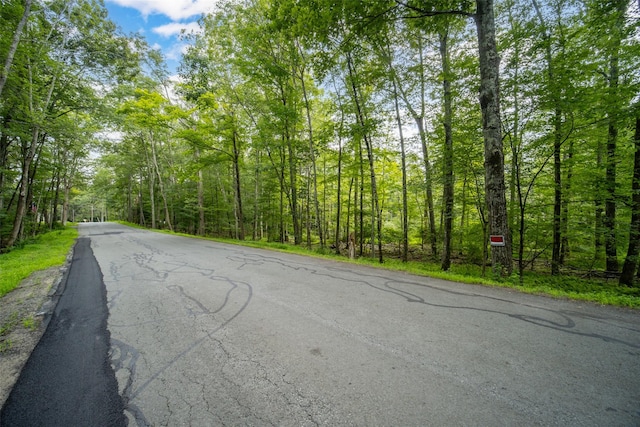 181 Wilson Rd, Sparrowbush, NY 12780 - photo 2