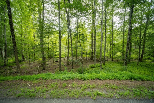 181 Wilson Rd, Sparrowbush, NY 12780 - photo 3