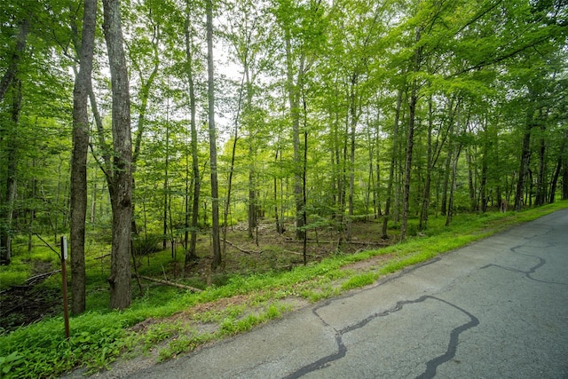 181 Wilson Rd, Sparrowbush, NY 12780 - photo 4