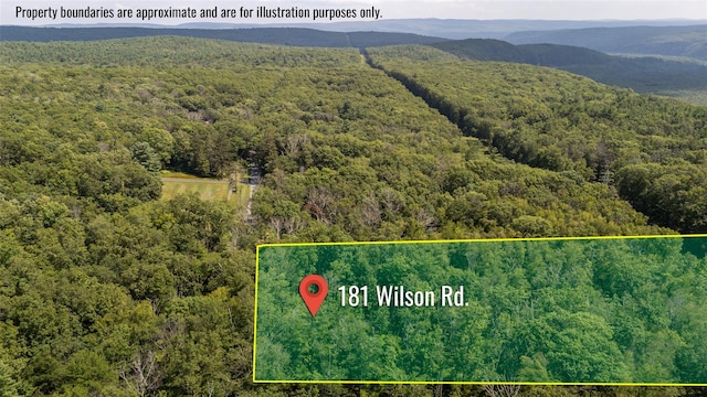 181 Wilson Rd, Sparrowbush, NY 12780 - photo 7
