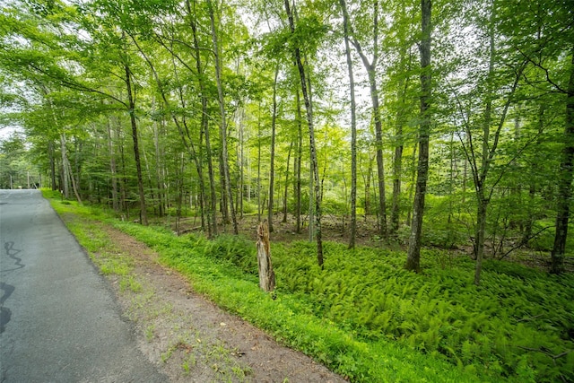 181 Wilson Rd, Sparrowbush, NY 12780 - photo 8