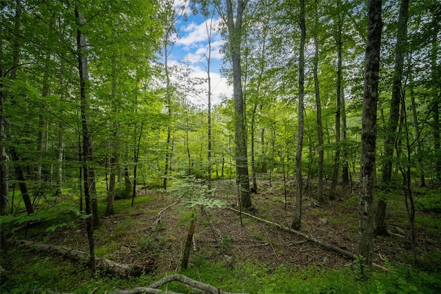 181 Wilson Rd, Sparrowbush, NY 12780 - photo 9