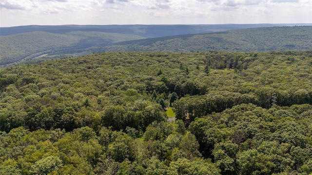 181 Wilson Rd, Sparrowbush, NY 12780 - photo 10