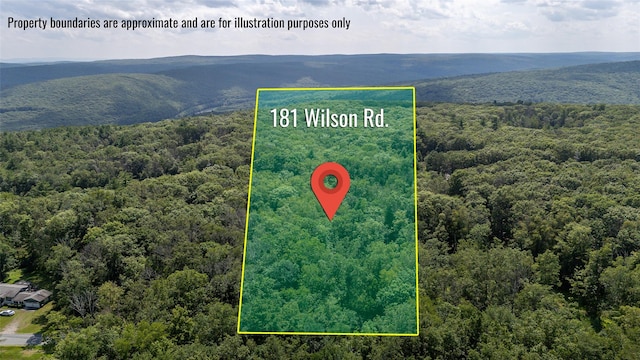 181 Wilson Rd, Sparrowbush, NY 12780 - photo 14
