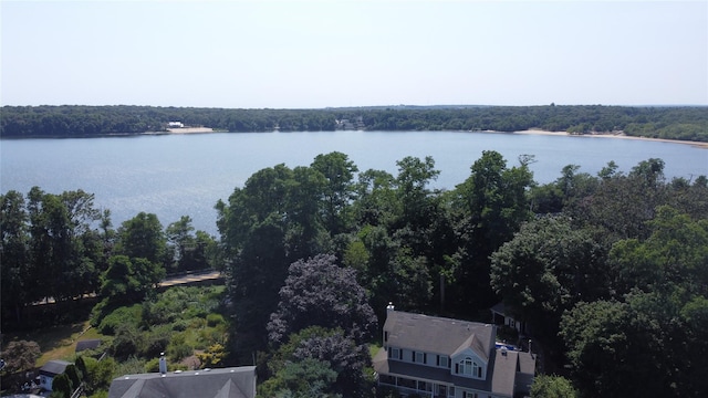 11 Oswego Pl, Lake Ronkonkoma, NY 11779 - photo 6