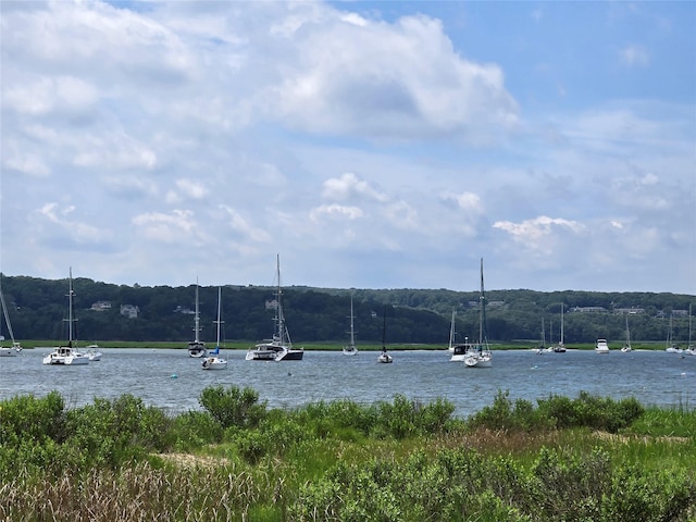 161 Harbor Beach Rd, Mount Sinai, NY 11766 - photo 6