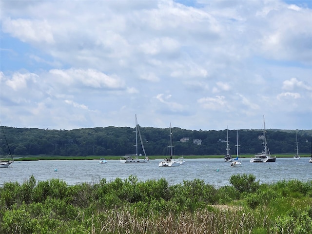 161 Harbor Beach Rd, Mount Sinai, NY 11766 - photo 7