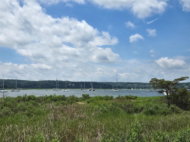 161 Harbor Beach Rd, Mount Sinai, NY 11766 - photo 8