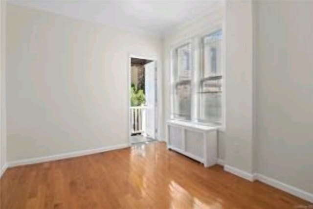 836 Revere Ave, Bronx, NY 10465 - photo 5