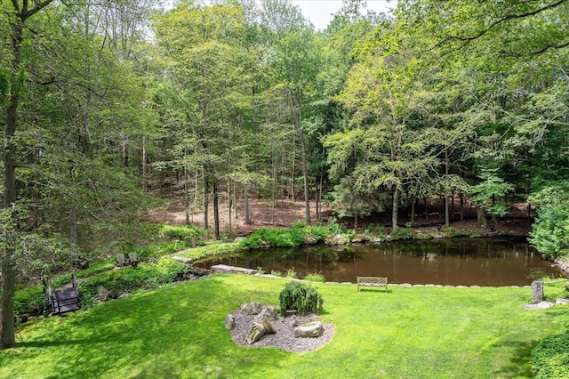 28 Glen Rd, South Salem, NY 10590 - photo 16