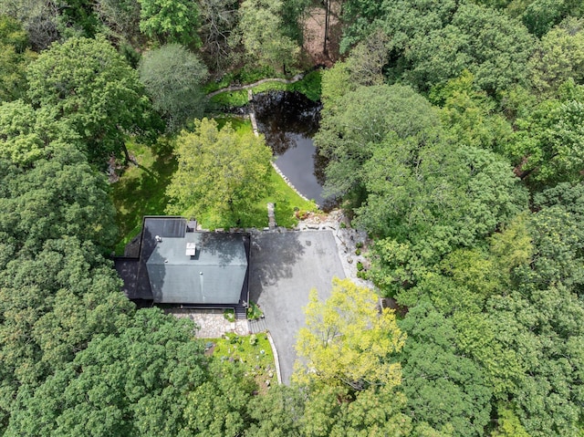 28 Glen Rd, South Salem, NY 10590 - photo 17