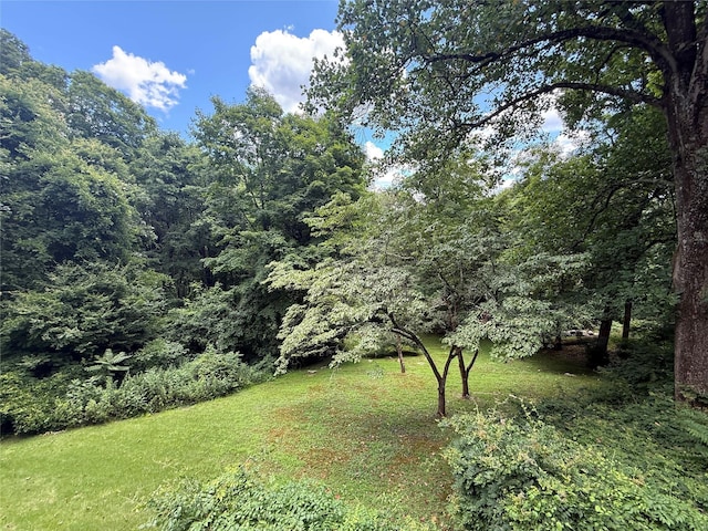 95 Peekskill Hollow Rd, Putnam Valley, NY 10579 - photo 25