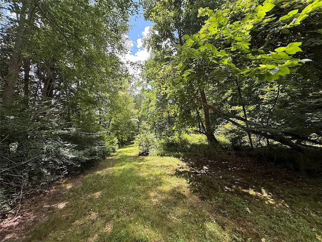 95 Peekskill Hollow Rd, Putnam Valley, NY 10579 - photo 28